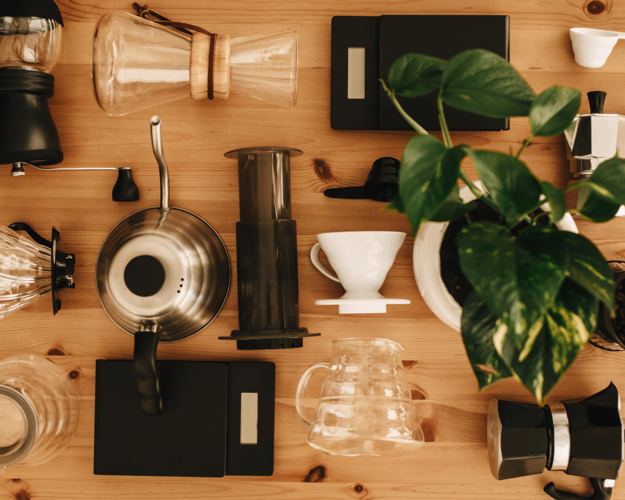 The Barista’s Path: From Bean to Cup — Chapter 6.