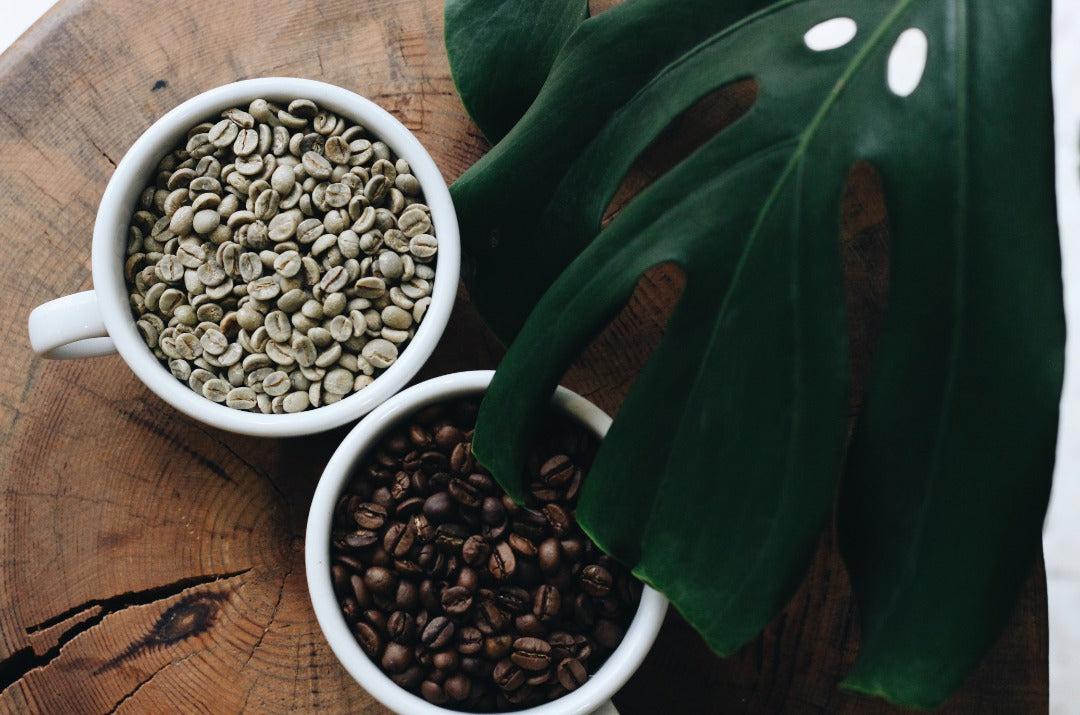 Kenyan Coffee: A Global Champion in the World of Coffee Competitions