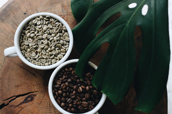 Kenyan Coffee: A Global Champion in the World of Coffee Competitions