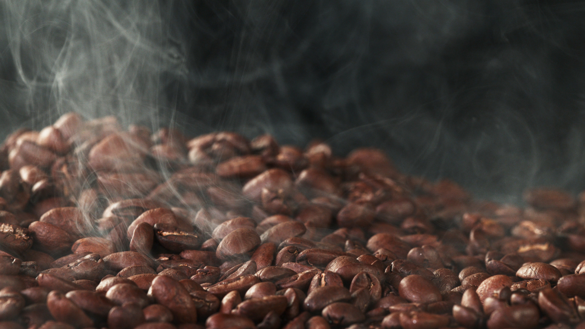 The Barista’s Path: From Bean to Cup — Chapter 4.