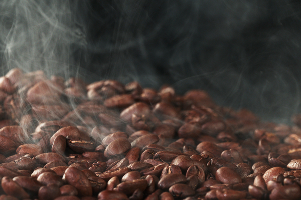 The Barista’s Path: From Bean to Cup — Chapter 4