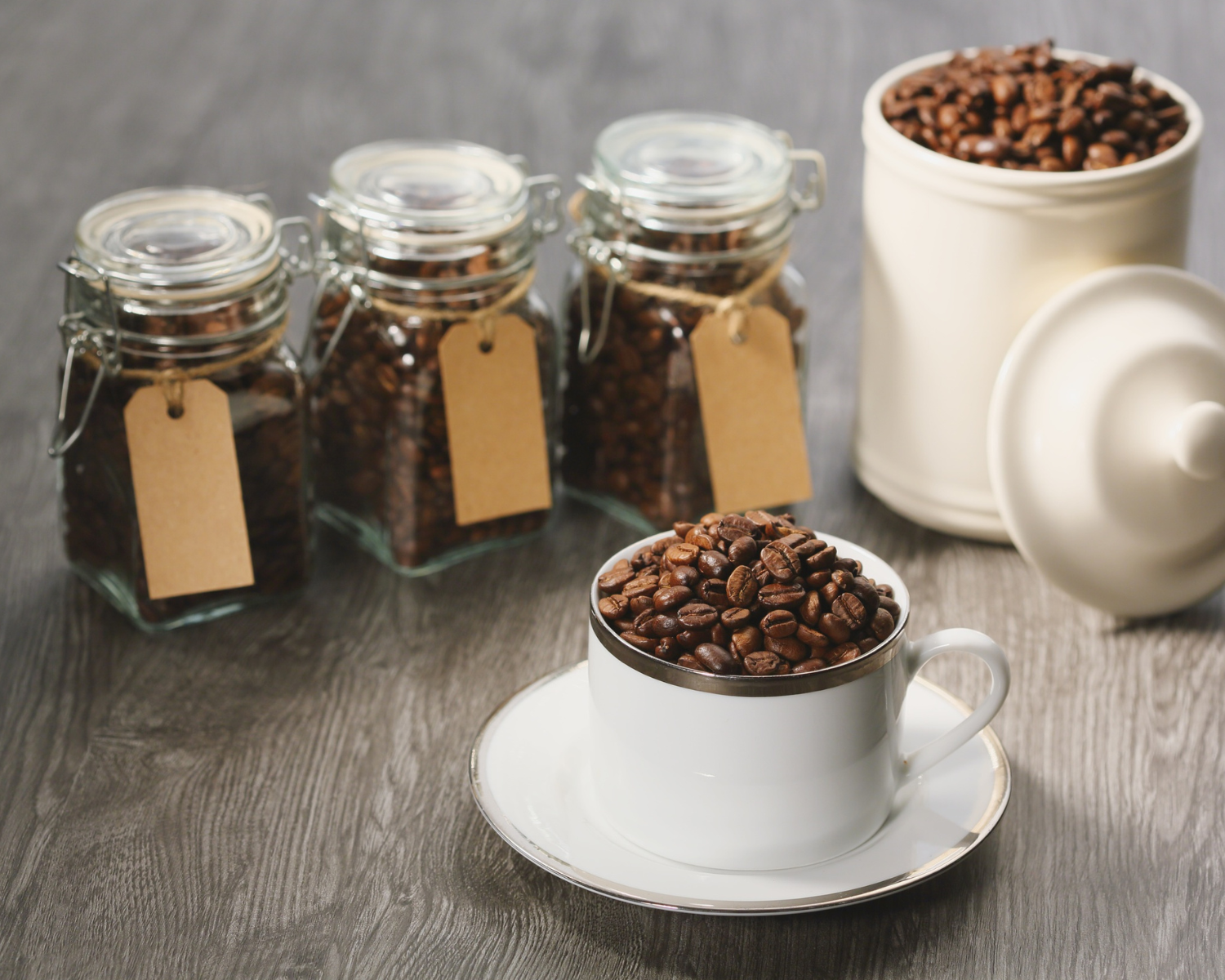 The Barista’s Path: From Bean to Cup — Chapter 2.