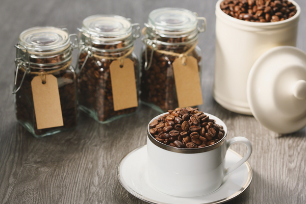 The Barista’s Path: From Bean to Cup — Chapter 2