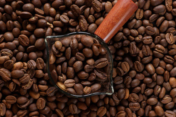 Discover the Bright Acidity and Bold Flavors of Kenyan Coffee: A Flavor Profile Breakdown