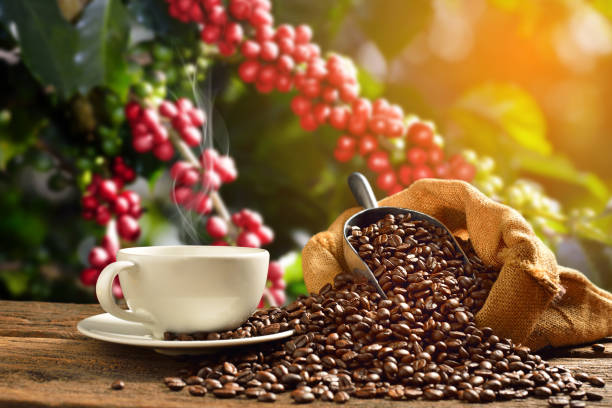 Understanding Coffee Grades: Why Kenya AA Sets the Global Standard.