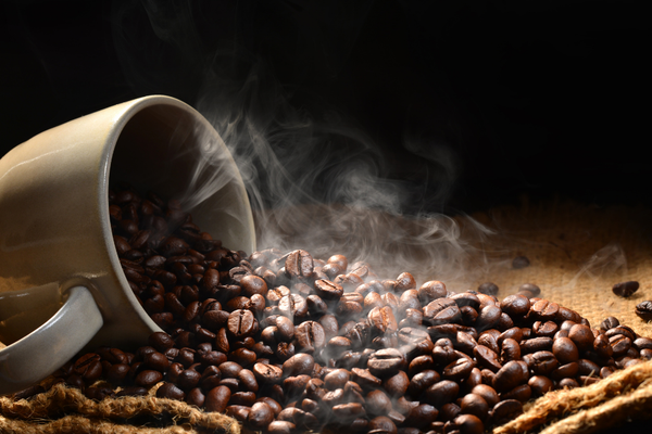 The Barista’s Path: From Bean to Cup — Chapter 7. Coffee Extraction