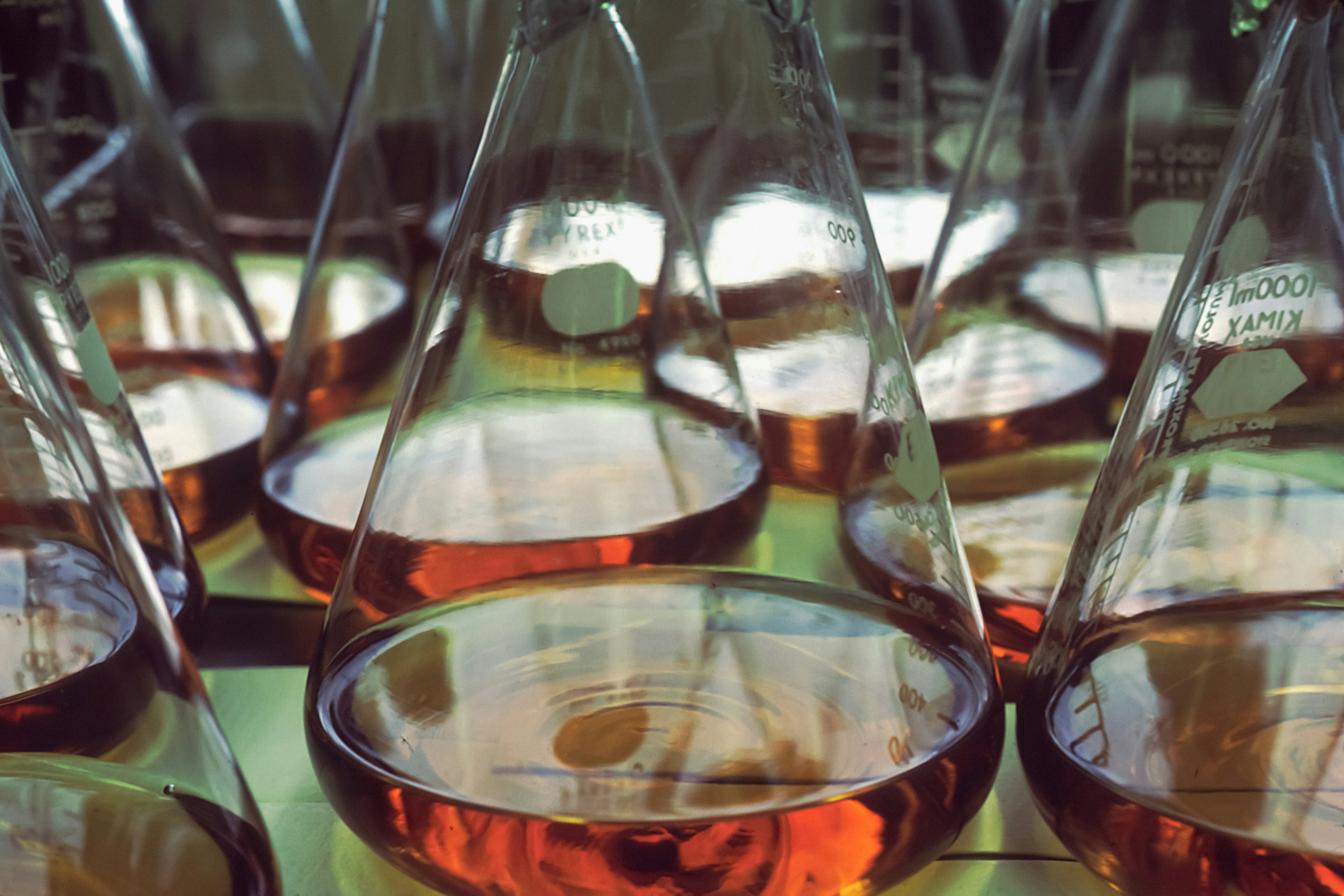 Is Café Nairobi Coffee Mold-Free? See Our Third-Party Lab Report