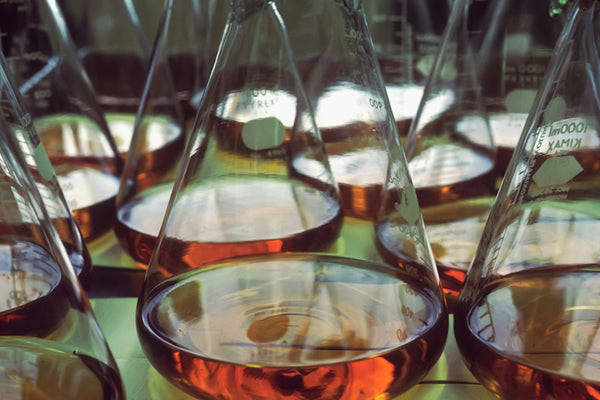 Is Café Nairobi Coffee Mold-Free? See Our Third-Party Lab Report
